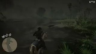 I heard a lady and saw her on the map but I got there and no were to be found. [RDR2].