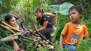 200 days of harvesting, tofu, bananas, building a farm, survival alone