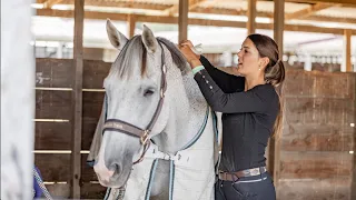 Young Riders S04 E03 Two Shows