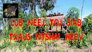 Lub Neej Toj Siab Txaus Ntshai Heev (Hmong Scary Story)