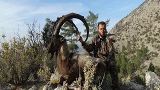 BEZOAR IBEX HUNTING MR.MURAT OZHAN &  RECEP ECER