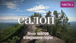 8000 шагов к вершине горы Салоп