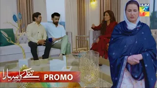 Tinkay Ka Sahara Episode 20 - New Promo - Hum TV Drama Review - 31 January 2023