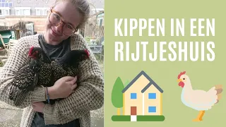 KIPPEN Houden in een RIJTJESHUIS | Kippen in een Woonwijk? | Voor en Nadelen.
