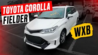 Toyota Corolla Fielder - Лучшая комплектация Hybrid WxB. По лучшей Цене 1 140 000 руб. Автоподбор.