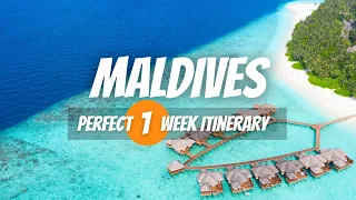 7 Days in the Maldives — Perfect One Week Itinerary for Travelers
