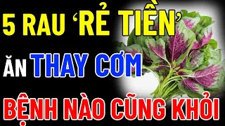 BÁC SĨ MÁCH BẠN "ĂN RAU NGÓT Cùng THỨ NÀY" MÁU THÔNG LÊN NÃO, NGỦ SAY ĐẾN SÁNG, SẠCH GAN KHỎE THẬN