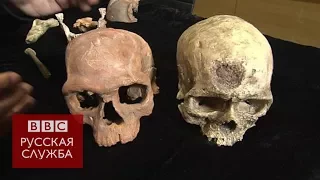 Найдены самые древние останки Homo sapiens