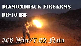 Shooting the AR 10 Diamondback DB 10 BB