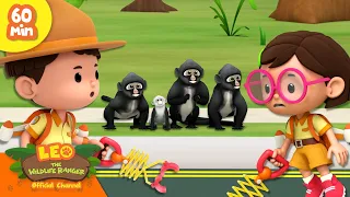 🐒 No Monkey Business! 🙈  Apes, Gorillas & more! 🦍 | Leo the Wildlife Ranger | Kids Cartoons
