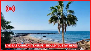 🔴LIVE: Should you stay in Las Americas Tenerife? ☀️