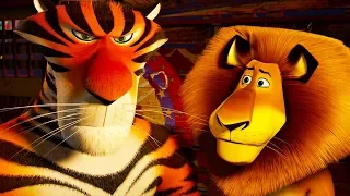 DreamWorks Madagascar | Where Is That Vitaly? | Madagascar 3: Europe's Most Wanted | Kids Movies