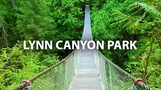 Lynn Canyon Park North Vancouver, BC Virtual 4K Walk