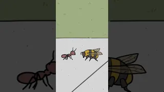 Ant Vs. Bee (Animated Short)