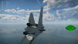 Warthunder F-14A Early Cobra or something