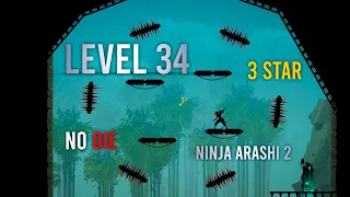 Ninja Arashi 2 Level 34