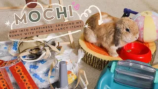 🐰🥳🧸Pampering My Bunny with Fun and Fancy Items!