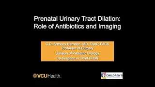 5.7.2020 PedsUroFLO Lecture - Prenatal Urinary Tract Dilation: Role of Antibiotics and Imaging