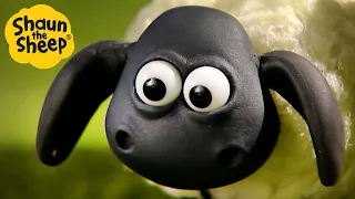 Shaun the Sheep 🐑 Operation: Save Timmy's Teddy 🦸‍♂️🧸 Full Episodes Compilation [1 hour]