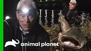 Is This 7ft Fish The Real Monster Of Lake Garda? | Jeremy Wade's Dark Waters