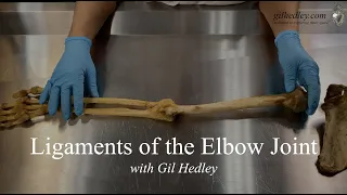 Ligaments of the Elbow Joint: Learn Integral Anatomy with Gil Hedley