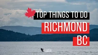 Top Things to do in Richmond BC | 5 Bucket List Must Do's - Dumpling Trail, Whale Watching & More!