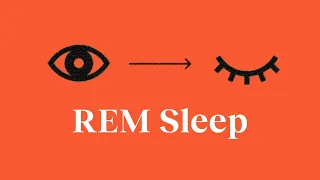 Why REM sleep is your brain's superpower—and 3 ways to trigger more of it | Patrick McNamara
