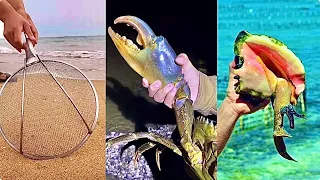 Catching Seafood 🐙🦀 Deep Sea Octopus (Catch Shark, Catch Fish, Sea Creatures) TikTok #23