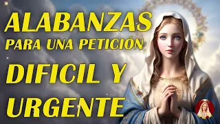 Alabanza católica por CARTA Calma, Elimina todas las preocupaciones | Mejor Música Católica 2024