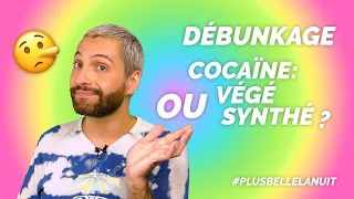 [ℹ️ DÉBUNKAGE] Cocaïne : végé ou synthé ?