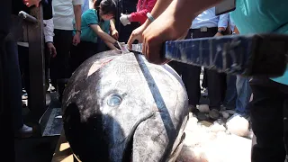 The sharpest knife cuts a 300kg giant bluefin tuna with amazing skills