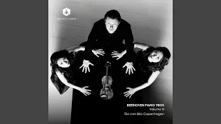 Piano Trio in C Minor, Op. 1 No. 3: I. Allegro con brio