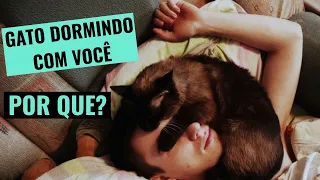 Por que Meu Gato Dorme Comigo? 5 Razões que Você vai Adorar Saber!