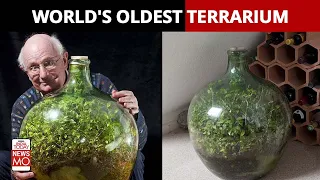 All You Need To Know About The World's Oldest Terrarium