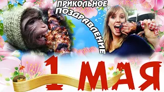 1 МАЯ! ПРИКОЛЬНОЕ ПОЗДРАВЛЕНИЕ С 1 МАЯ! ПРИКОЛЬНАЯ ВИДЕО ОТКРЫТКА С 1 МАЯ! Поздравь Своих Друзей!