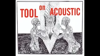 6 Awesome TOOL riffs on ACOUSTIC guitar!