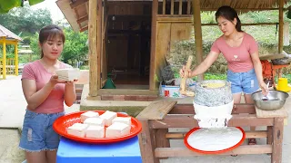 How To Make Handmade Tofu and Take The Tofu Go To Market To Sell | My Bushcraft / Nhất