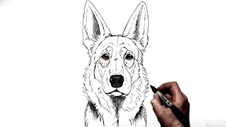 How To Draw A German Shepherd | Step By Step