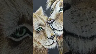 Portrait of a family of lions in pastel. https://www.artmajeur.com/nadiaserov #shorts