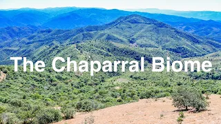 The Chaparral Biome