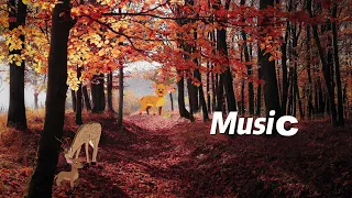 Healing music,relaxing music. Musik, Música