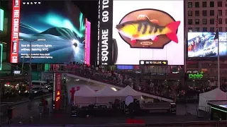 Singing Fish In Time Square!!!!