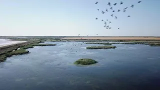 Azov-Syvash National Nature Park, Ukraine