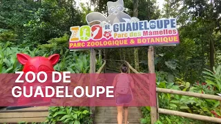 Zoo de GUADELOUPE - Parc des Mamelles