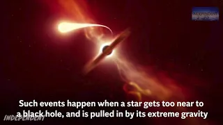Black hole seen eating star, causing ‘disruption event’ visible in telescopes around the world   The