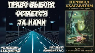 Право выбора остается за нами. Адхокшаджа д. ШБ.5.13.8–10