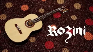 CONHEÇA O VIOLÃO RX210 DA ROZINI