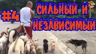 Лучшие Приколы Zany #4 Сильный независимый мужик. Best funny videos COUB compilation