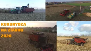 ⇒NOWY NABYTEK 2020⇐CASE IH AXIAL FLOW 6140 [GRD ROLDROB] ŻNIWA KUKURYDZIANE 2020 na OPOLSZCZYŹNIE