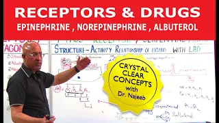 Receptors & Drugs | Epinephrine, Norepinephrine, Albuterol